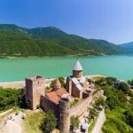 جولدن توليب تبليسي